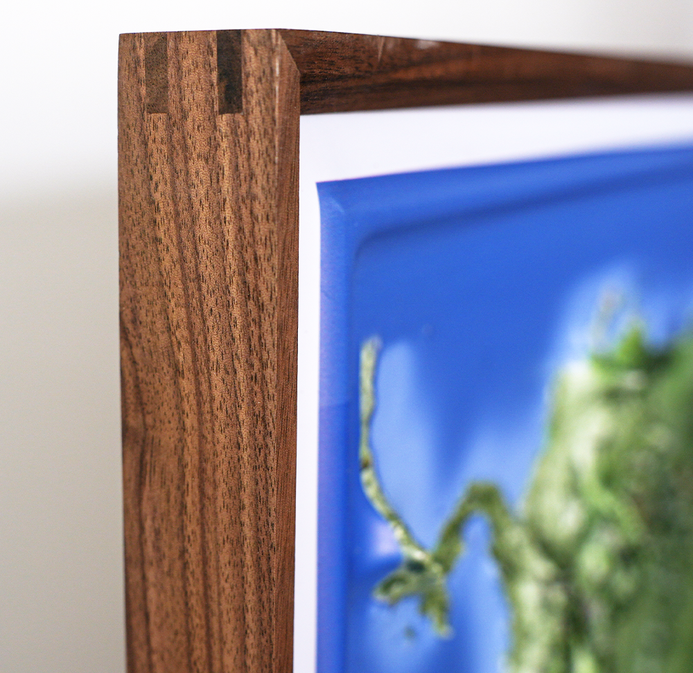 United States 3D Relief Map