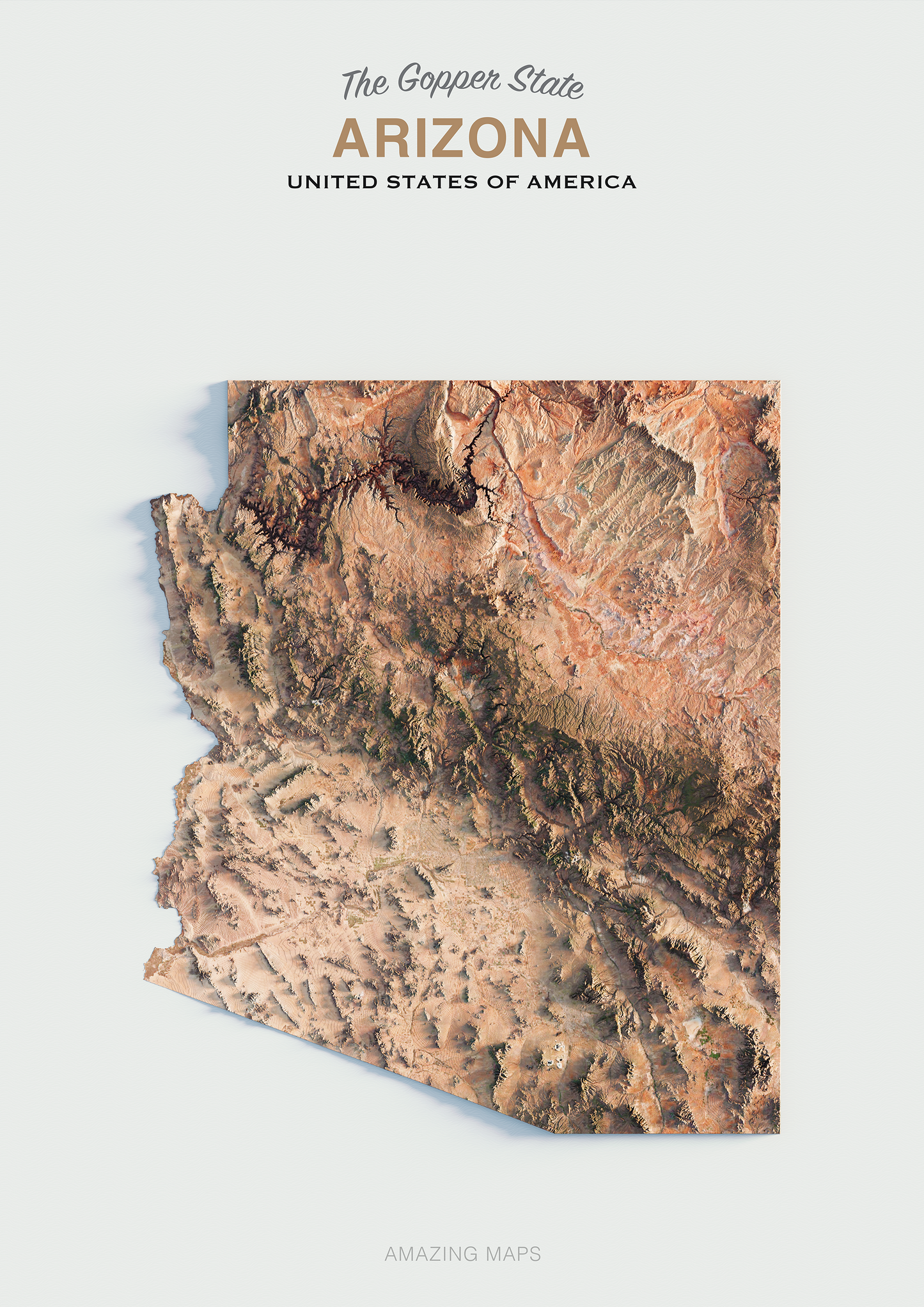 Arizona Realistic Relief Map Light