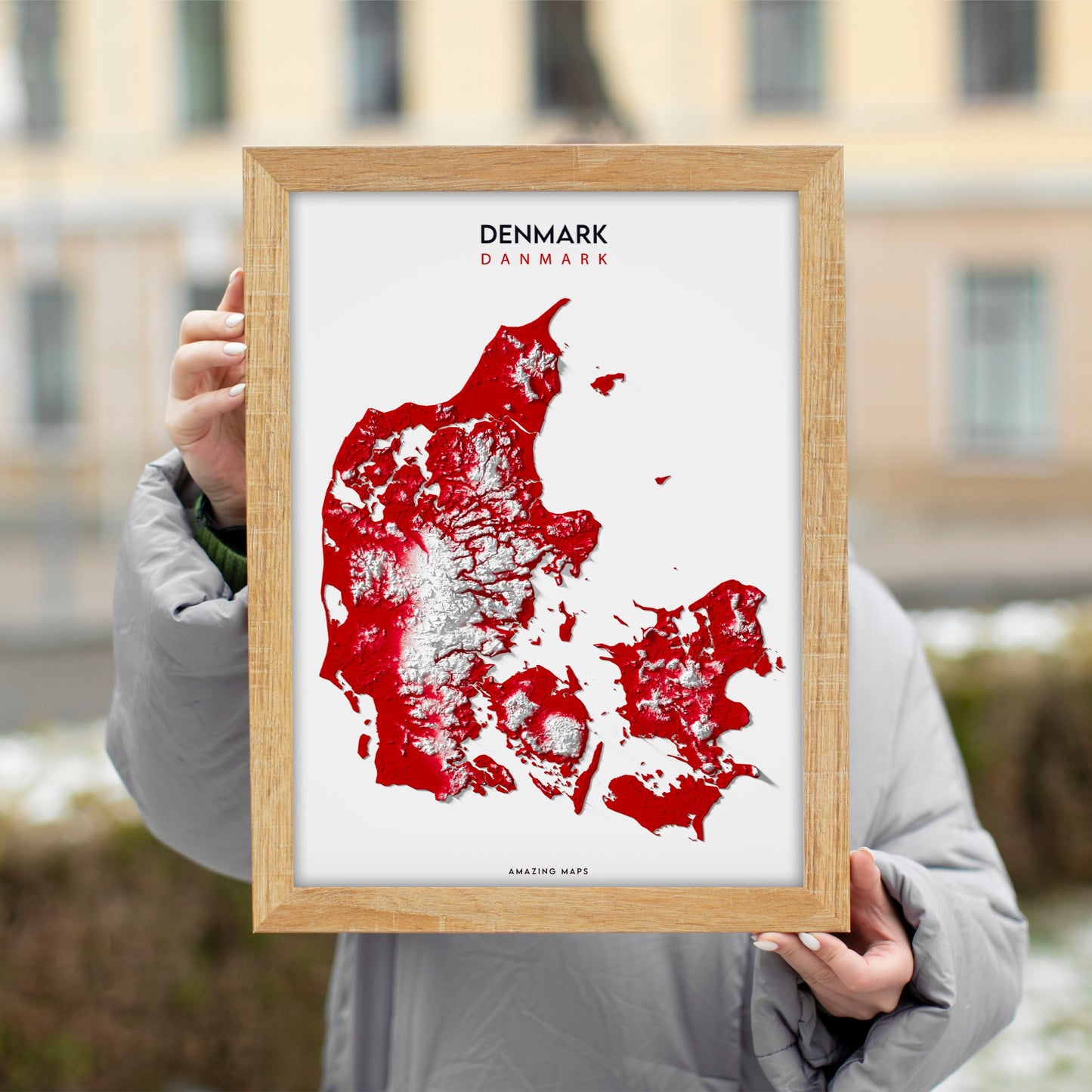 Denmark Relief map - Amazing Maps