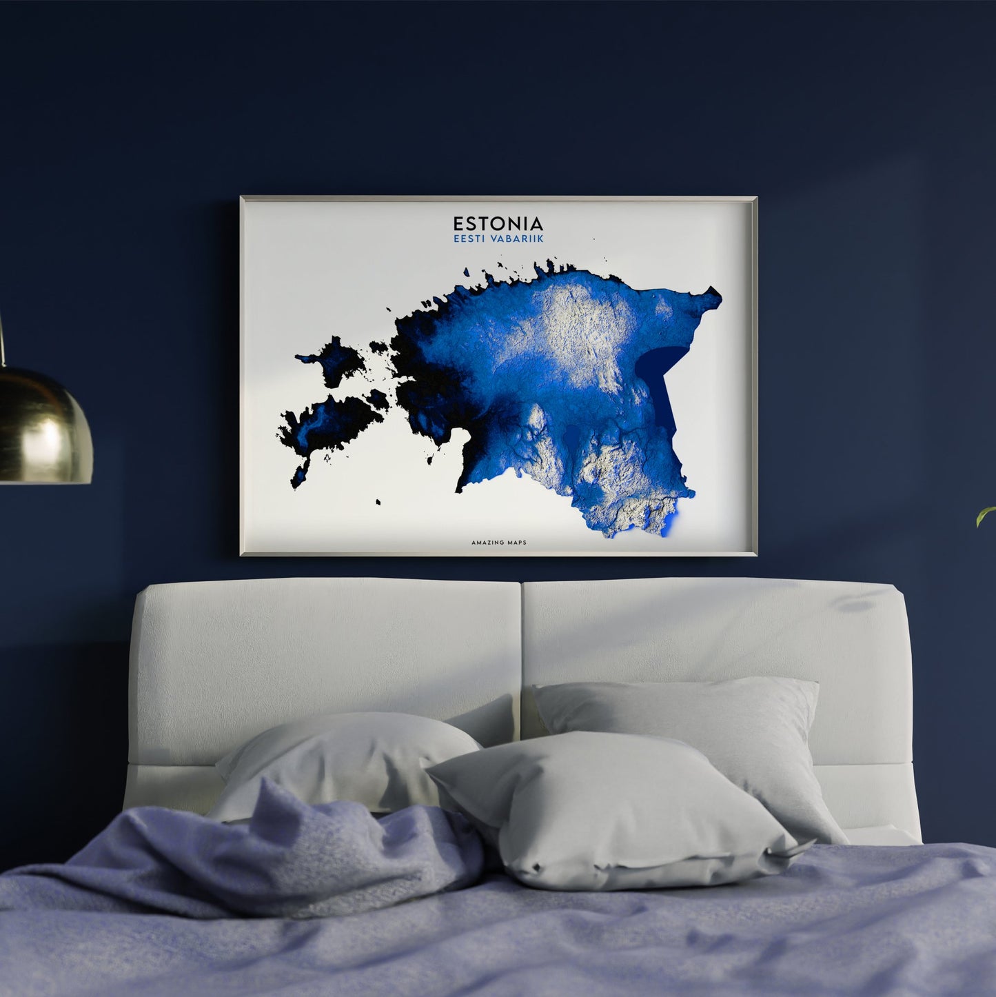 Estonia Relief map - Amazing Maps