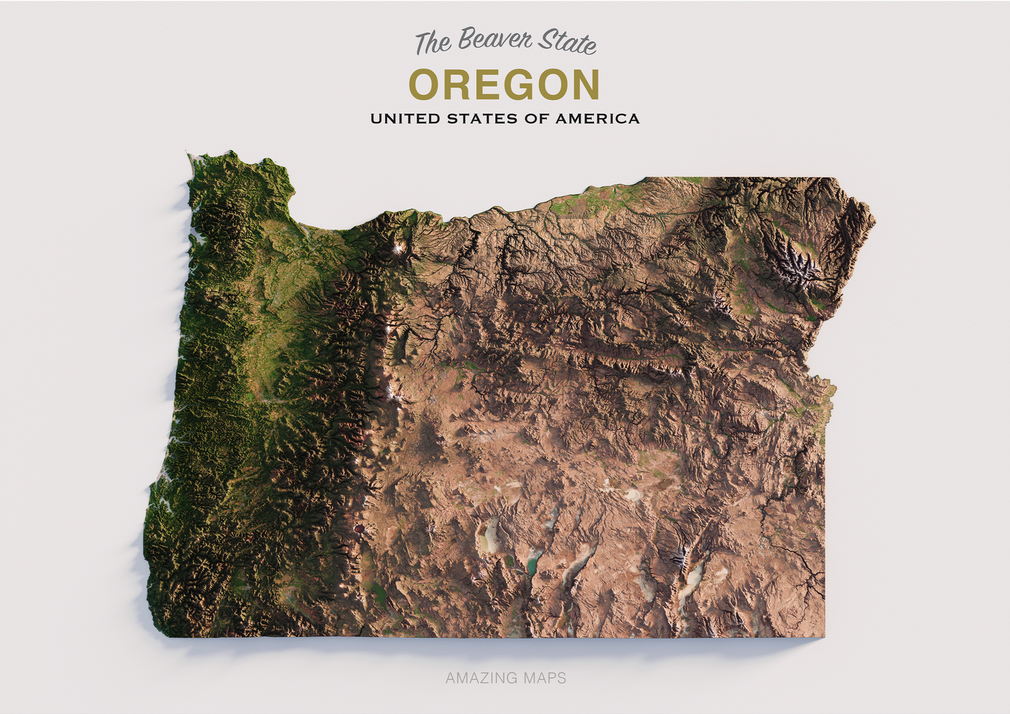 Oregon Realistic Relief Map Light