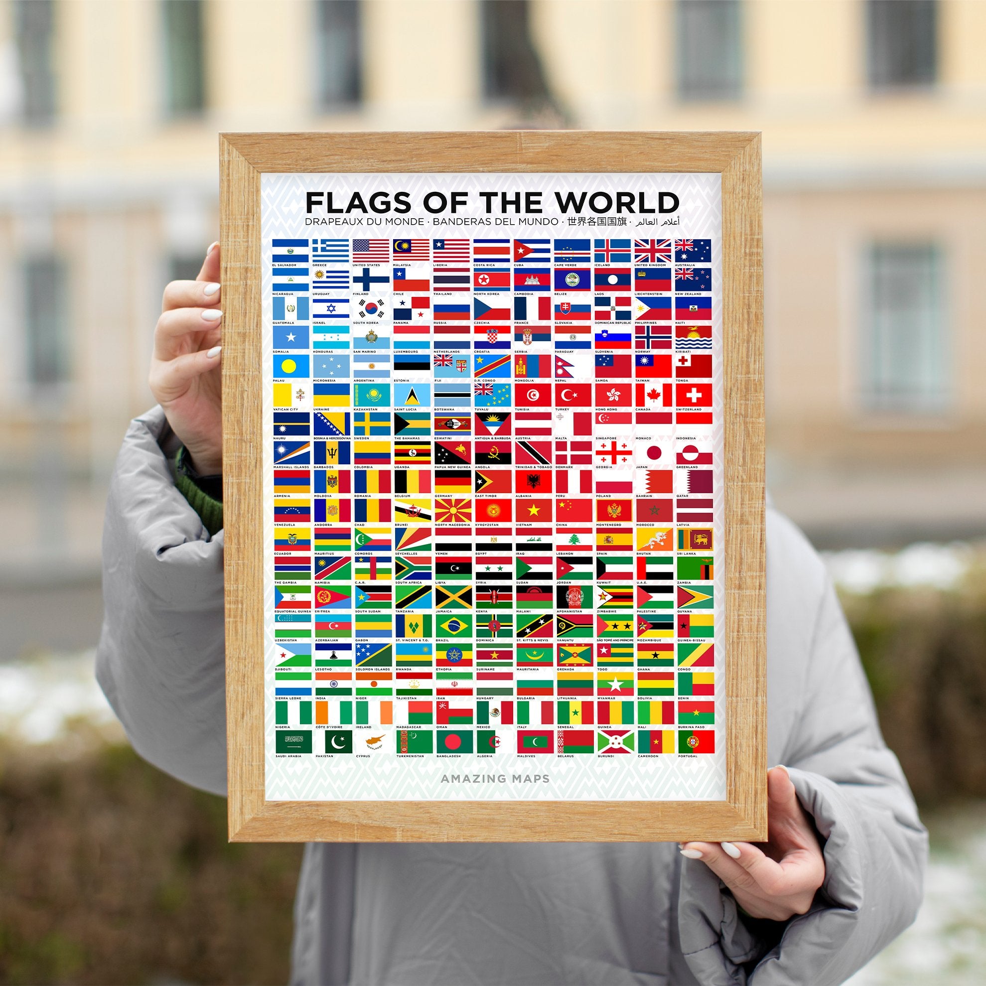 Flags of the World Poster β Amazing Maps