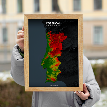Portugal Relief map