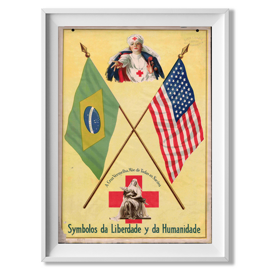 USA - Brazil Friendship Poster