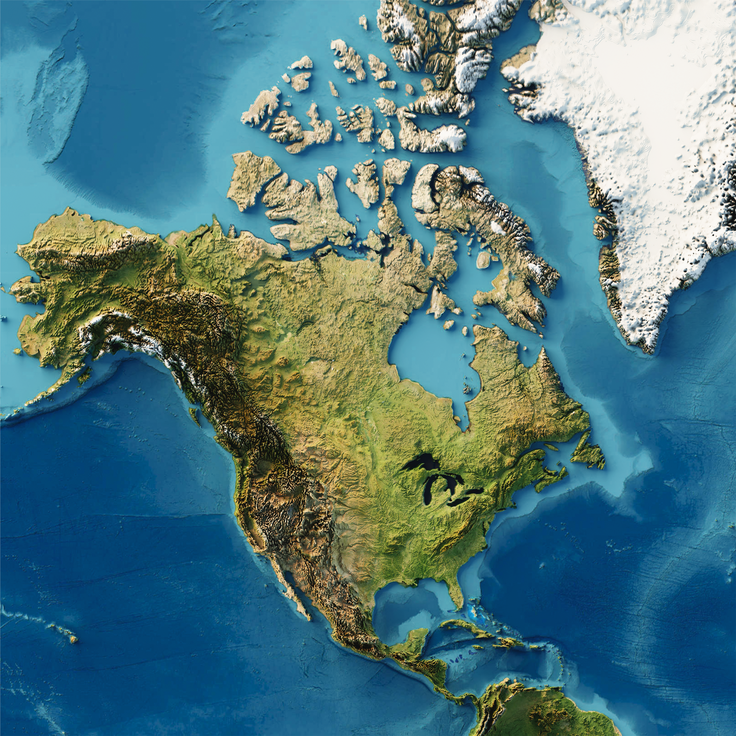 Realistic World Relief map